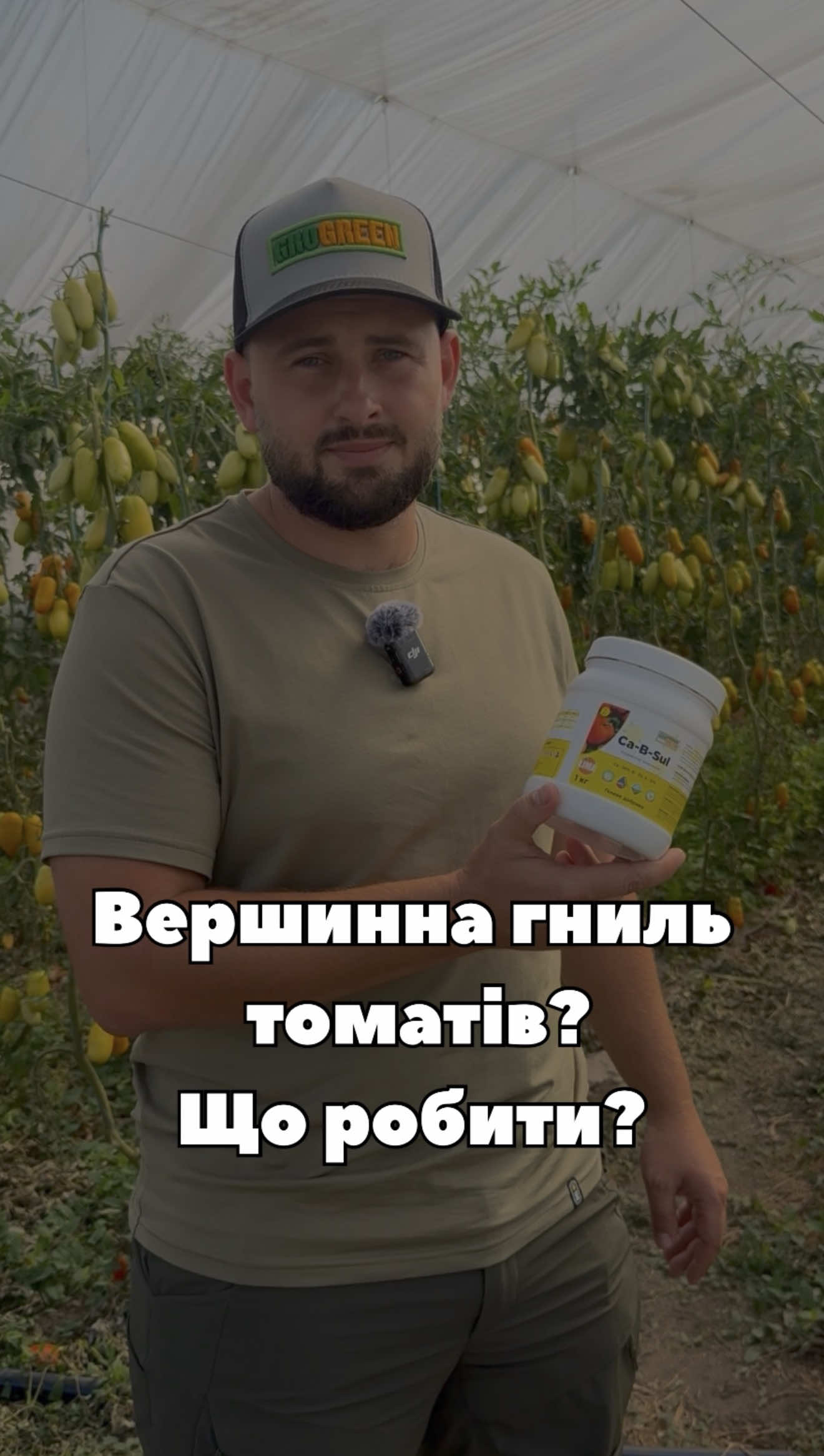 🍅 Помітили темні плями на верхівці плодів томата? Багато хто думає, що це хвороба. Насправді ж вершинна гниль — це ознака дефіциту кальцію. Разом із представником @grogreen_ukraine розбираємося, чому виникає ця проблема та як правильно застосовувати Gel Ca+B Sul: для профілактики або вже при появі перших ознак. А ви стикалися з вершинною гниллю? 👇 #Томат #ВершиннаГниль #GroGreen #Добрива #супермаркетнасіння 
