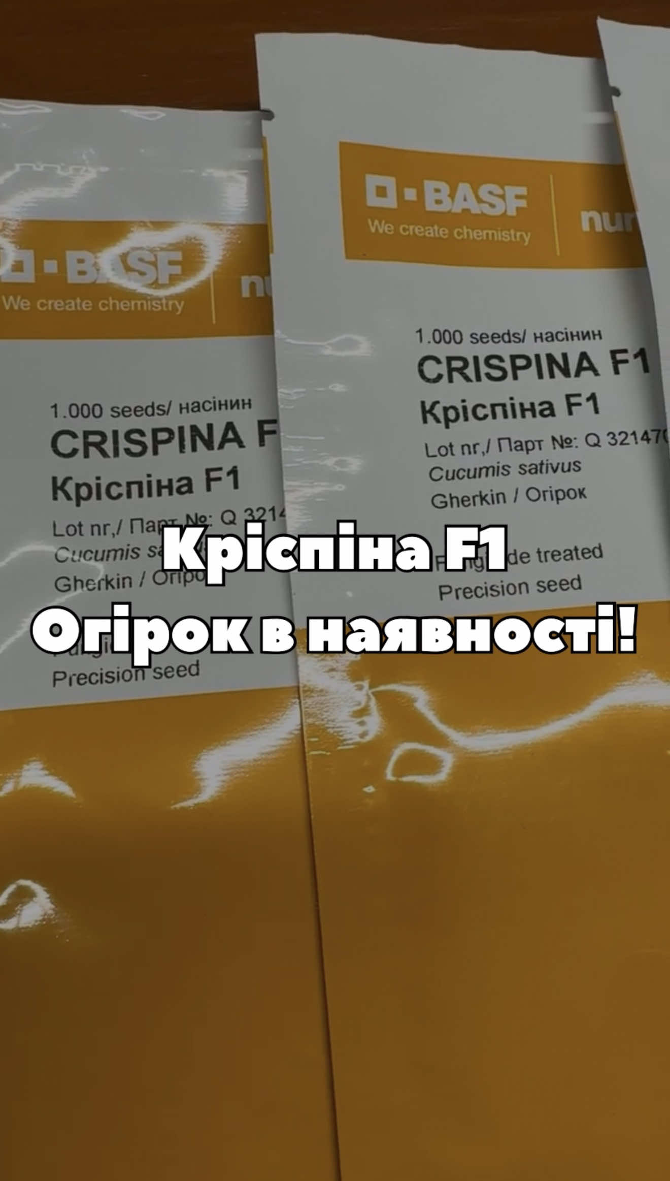 🥒 Кріспіна F1 — ранній самозапильний гібрид із високою врожайністю. Хрусткі огірки без гіркоти, які чудово підходять для свіжого споживання та консервації. Насіння в наявності в «Супермаркеті насіння» та доступне у роздрібному фасуванні. 📦 Відправляємо Новою поштою та Укрпоштою по всій Україні #огірок #кріспінаF1 #насінняогірків #супермаркетнасіння #город2026 