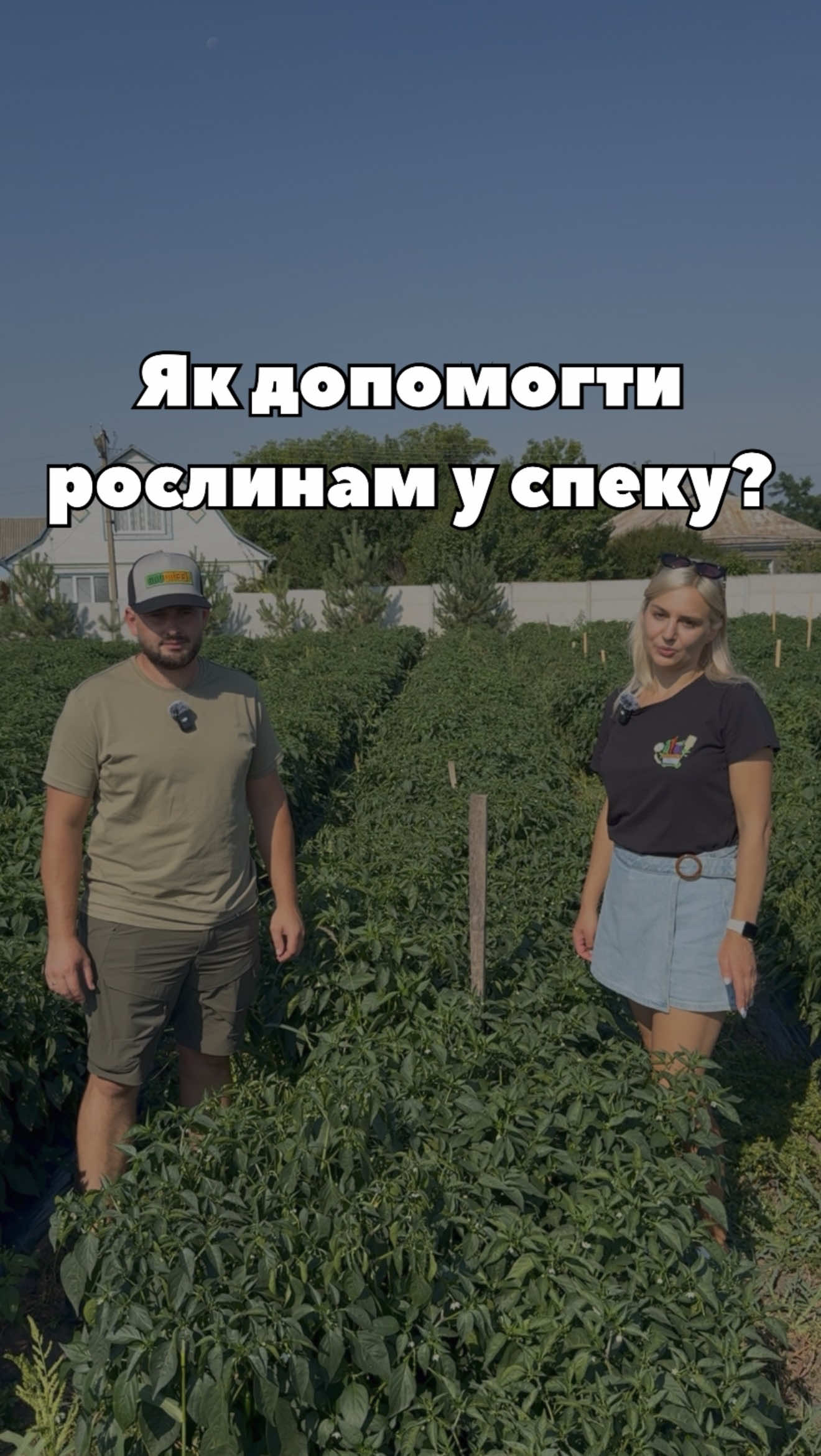 ☀️ Спека — серйозний стрес для рослин. Високі температури можуть негативно впливати на ріст, цвітіння та формування врожаю. У цьому відео представник @grogreen_ukraine на прикладі гіркого перцю розповідає, як підтримати рослини в цей період. Для цього він рекомендує поєднання двох добрив: 🌱 NPK 14-6-28+6CaO — для забезпечення рослин поживними елементами в період активного плодоношення. 🌱 Кальцій + Бор + Сірка Gel — для підтримки рослин, покращення якості плодів і допомоги під час стресових умов. Дивіться відео та дізнайтеся, як правильно допомогти рослинам пережити спеку та зберегти врожай. #GroGreen #добрива #спека #город #супермаркетнасіння 