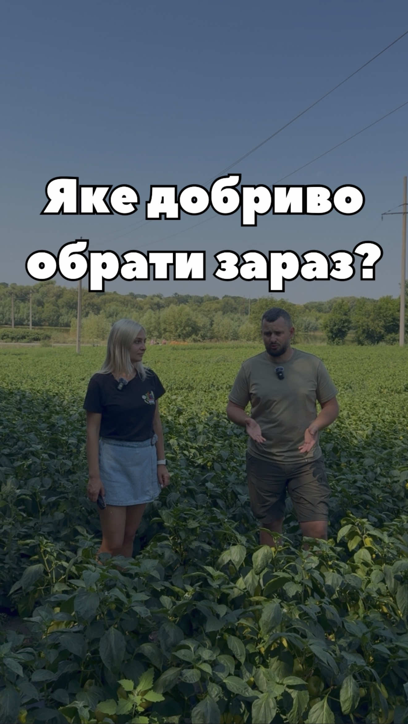🍅🥒 Серпень — час, коли рослини одночасно плодоносять, наливають плоди та переживають високі температури. Саме зараз їм потрібне збалансоване живлення. Ми запитали у представника @grogreen_ukraine , яке добриво в невеликому фасуванні він рекомендує городникам і невеликим фермерам. Його вибір — Fructus 5 Gel (18-9-36+6Ca+3MgO+TE). Завдяки високому вмісту калію, кальцію та магнію цей гель допомагає підтримати рослини під час плодоношення, сприяє наливу та дозріванню плодів і допомагає легше переносити стресові умови. Дивіться відео, щоб дізнатися, чому експерт рекомендує саме це добриво. 🌱 #GroGreen #добрива #томат #огірки #перець 