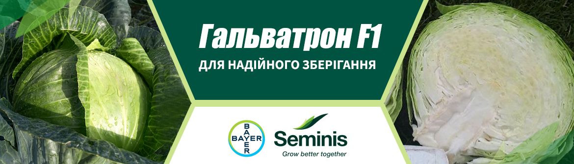 Гальватрон F1